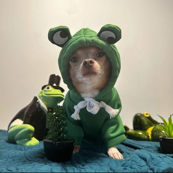 Other - RE-POSHING🐸 HOST PICK!🐸NWOT🐸FROG HOODIE COSTUME SIZE MEDIUM 100% POLYESTER🐸